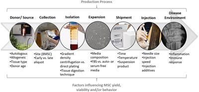 Cell-Based Therapies for Joint Disease in Veterinary Medicine: What We Have Learned and What We Need to Know